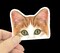 Tuxedo Cat Stickers product 3